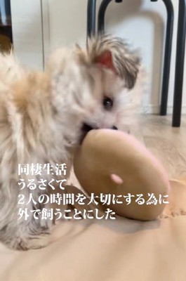 同棲を始めたのに…