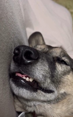 穏やかな寝顔♪