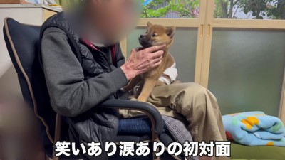 尻尾をフリフリ