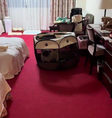 回転するように前方へ