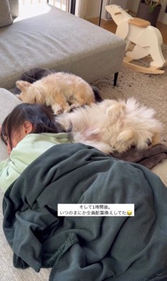 いつの間にか配置替え