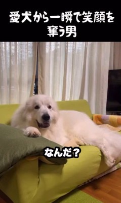 ドレミちゃんの表情の変化