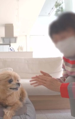 ばぁばとあのちゃん