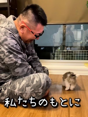 男性の前にちょこんと立つ子犬