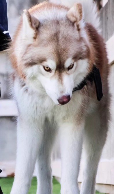 超絶イケメンな姿に!