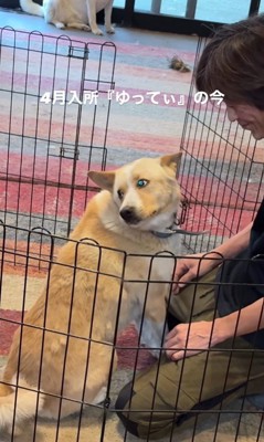 ゆってぃ君の変化⑩