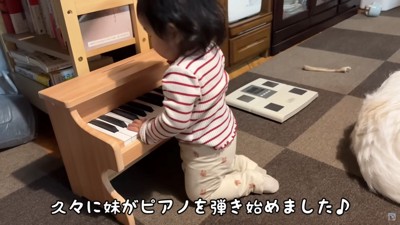 LONOちゃんがピアノを演奏