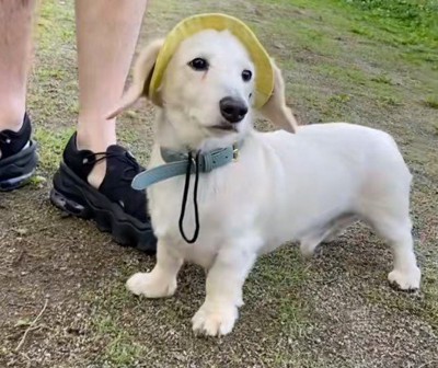 たくさんの思い出ができたね