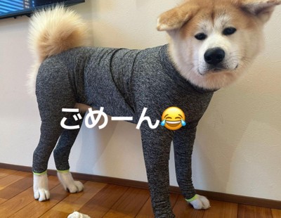 小さすぎる服に爆笑♪