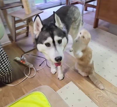 「構ってくれない！！」