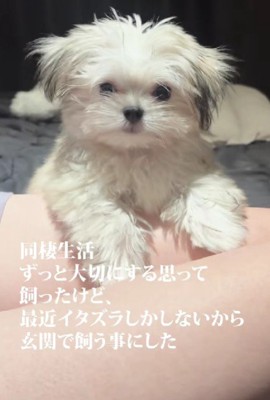 イタズラばかりするから…