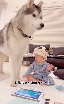 遊ぼうとアピールする赤ちゃん