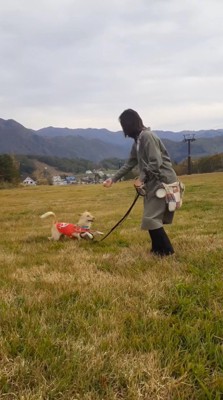 飼い主に向かって走る犬