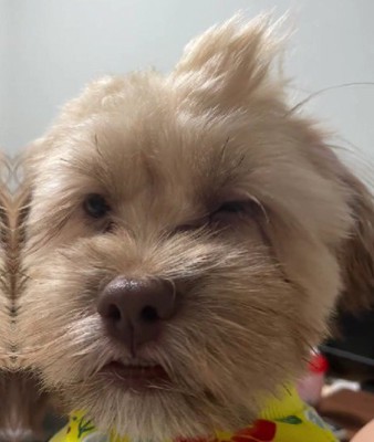 朝が楽しみになりそう！！