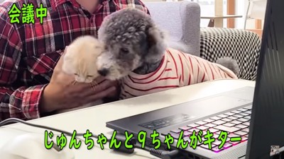 遊びだすきゅうちゃんとじゅんちゃん