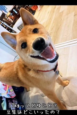 笑顔の小鉄くん