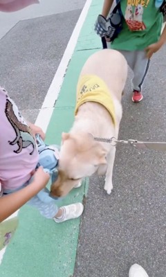 癒しの空間が生まれました…!