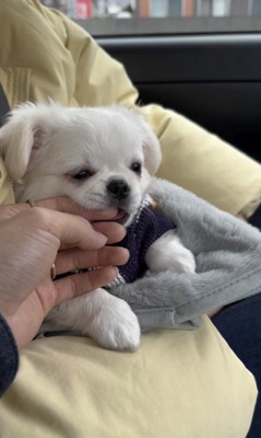 幸せになろうね