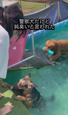 プールで特訓するエースくん3