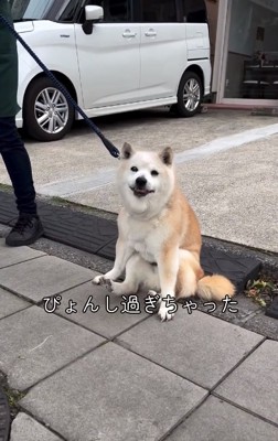 跳びすぎてしまったうーちゃん