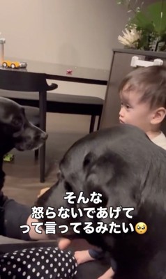 奥にはどん兵衛くんも