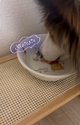 繰り返すさつまくん