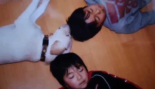 頭をくっつけ合って寝転がる犬と2人の男の子