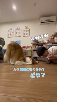 体勢を変える犬を見て笑う飼い主