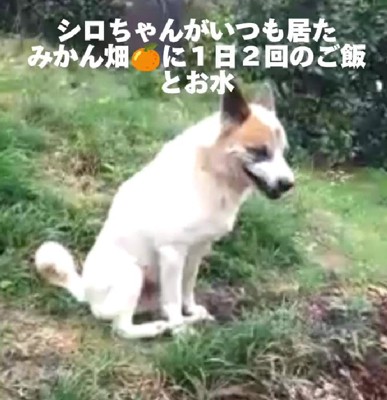 人間に心を開かず…