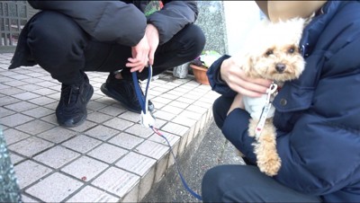 玄関先で男性に抱きしめられる犬