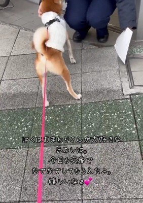 「今日もなでて～♡」