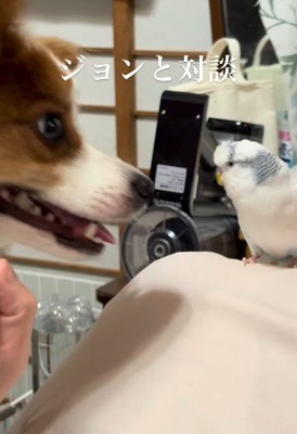 楽しそうにおしゃべり