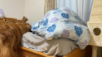 もう気付かれた!?