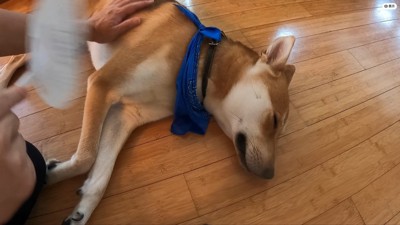尊い光景にほっこり♪