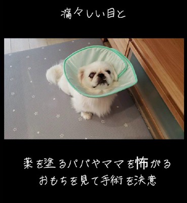 目を怪我してしまった