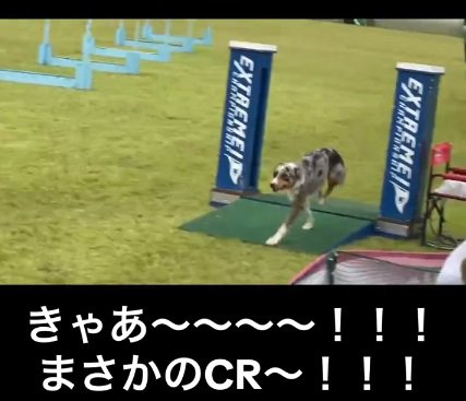 ゴールしたみかづきちゃん