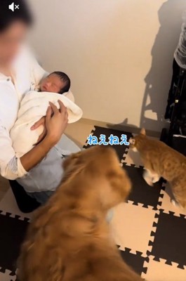 やってきた諭吉くん