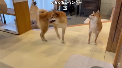 再びハイテンションに!