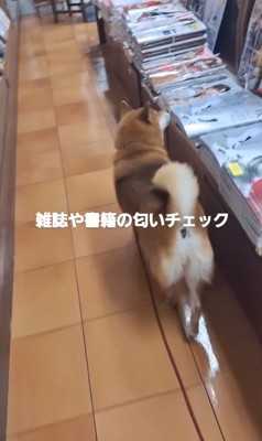 反対側もチェックするクムちゃん