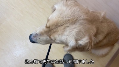 大人しくしていると思ったら…