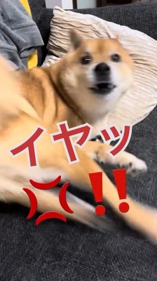 断られました!