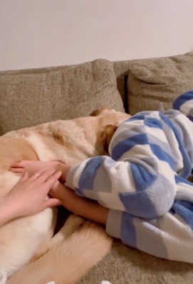 寝始めたダッフィーちゃん