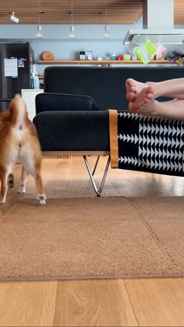 セルフマッサージを終え去っていく犬