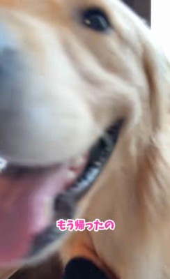 寂しそうな顔がたまらない…