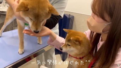 おやつで気がまぎれた!