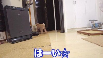 ついにパパが帰宅すると…