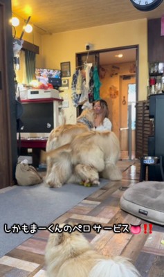 甘えが止まらない…