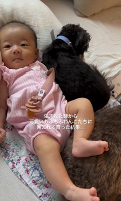 足を乗せても怒りません