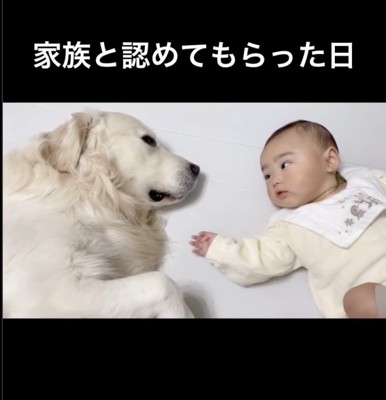 もう一度手を伸ばすと…