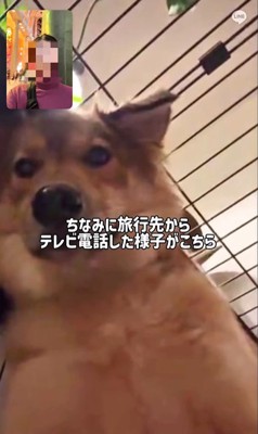 ママさん旅行中のラッキーくん8